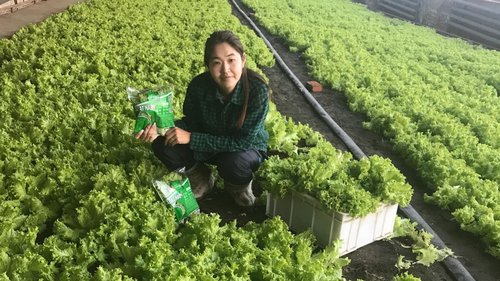 Өвлийн хүлэмж барихдаа технологио сайн судлах хэрэгтэй